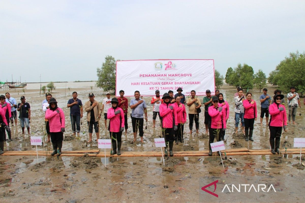 Bhayangkari taman mangrove dan lepas tukik di perbatasan RI-Malaysia