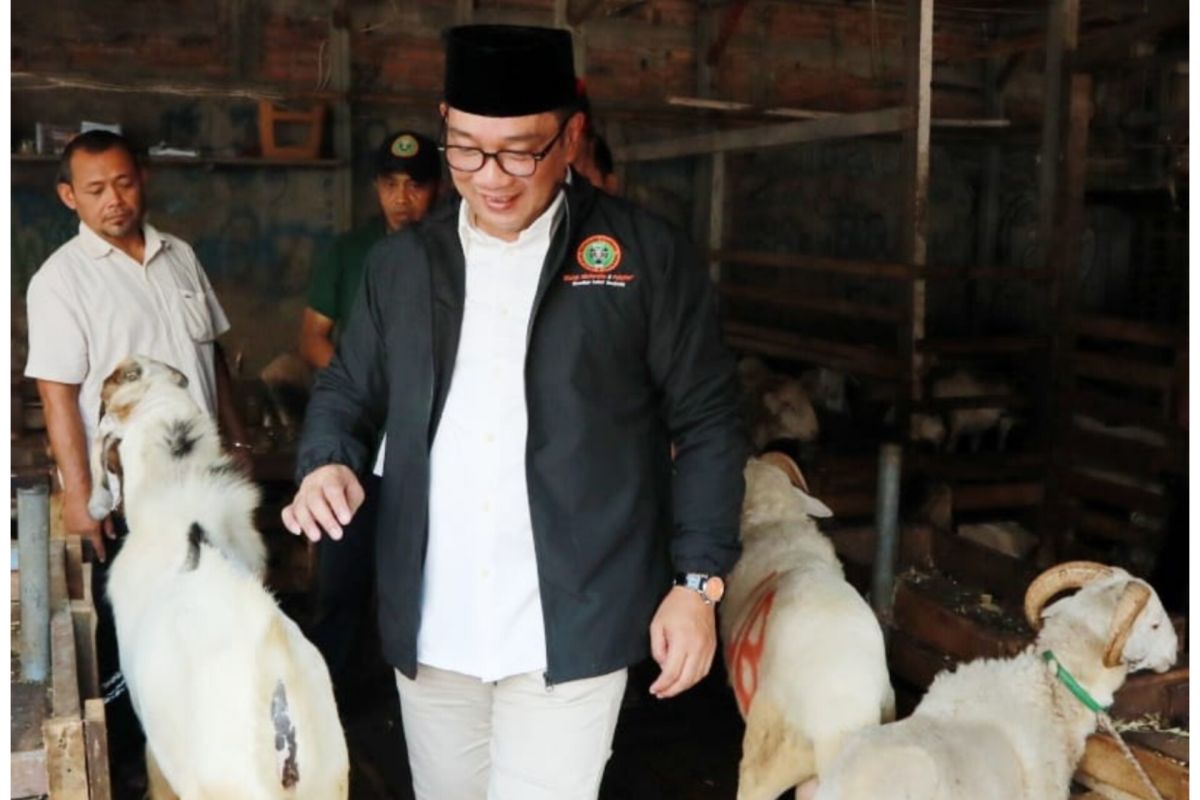 RK berencana merevitalisasi pasar ternak Tanah Abang