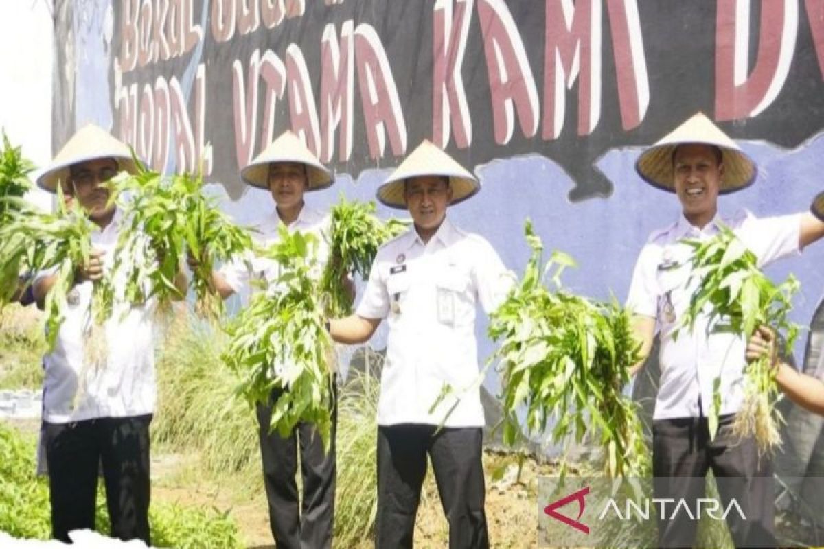 Lapas Narkotika Karang Intan panen 50 kilogram sayur kangkung 