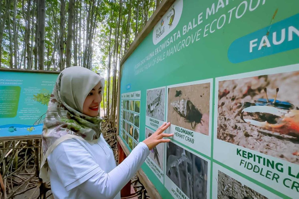 PLN NTB dorong peningkatan ekonomi dan lingkungan dengan program Desa Berdaya