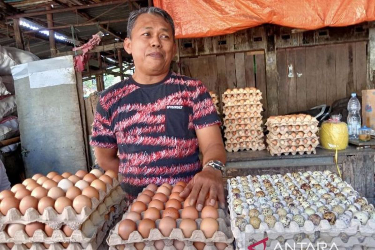 Harga telur ayam ras melonjak menjelang peringatan Maulid