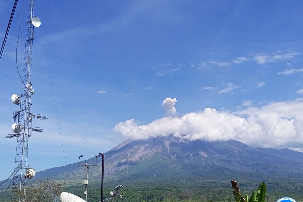 Semeru kembali erupsi dengan letusan hingga 700 meter di atas puncak