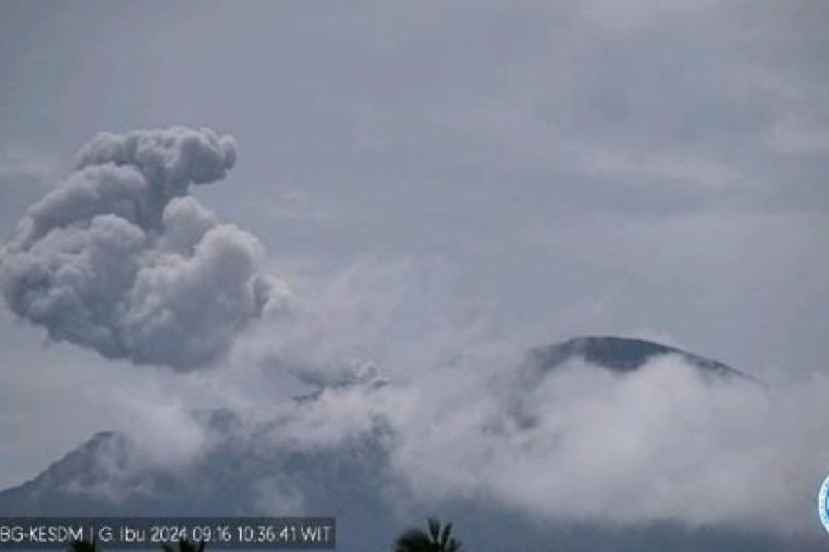 Gunung Ibu keluarkan abu setinggi 700 meter