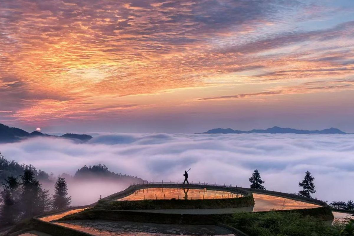 The Second "From Ziquejie Terraces To The World" Global Farming Culture Exchange Held in Xinhua County Hunan Province