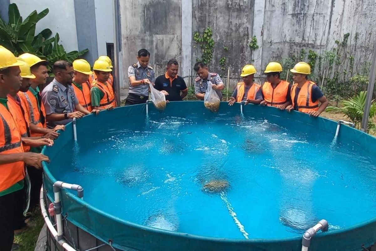 Lapas Batam kembangkan budidaya ikan nila dengan sistem bioflok