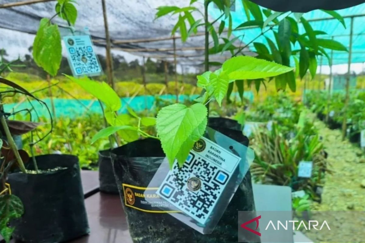 Barantin pasang kode pemindai untuk jamin kualitas tanaman herbal