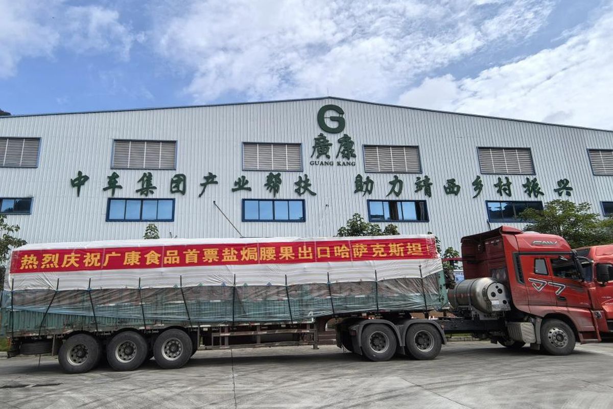 The Processing Industry in Jingxi City, Guangxi Promoted to Drive Local Economic Growth