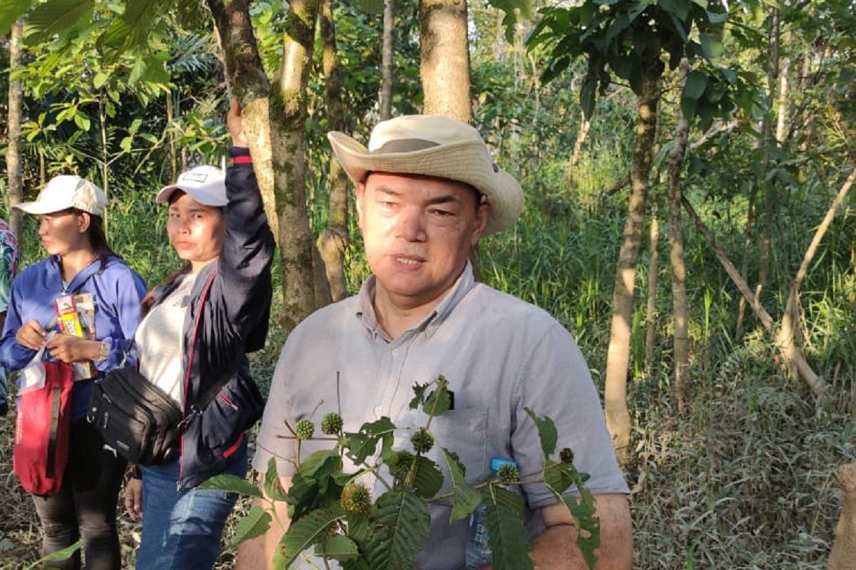 Pelaku usaha sambut baik legalisasi produk kratom