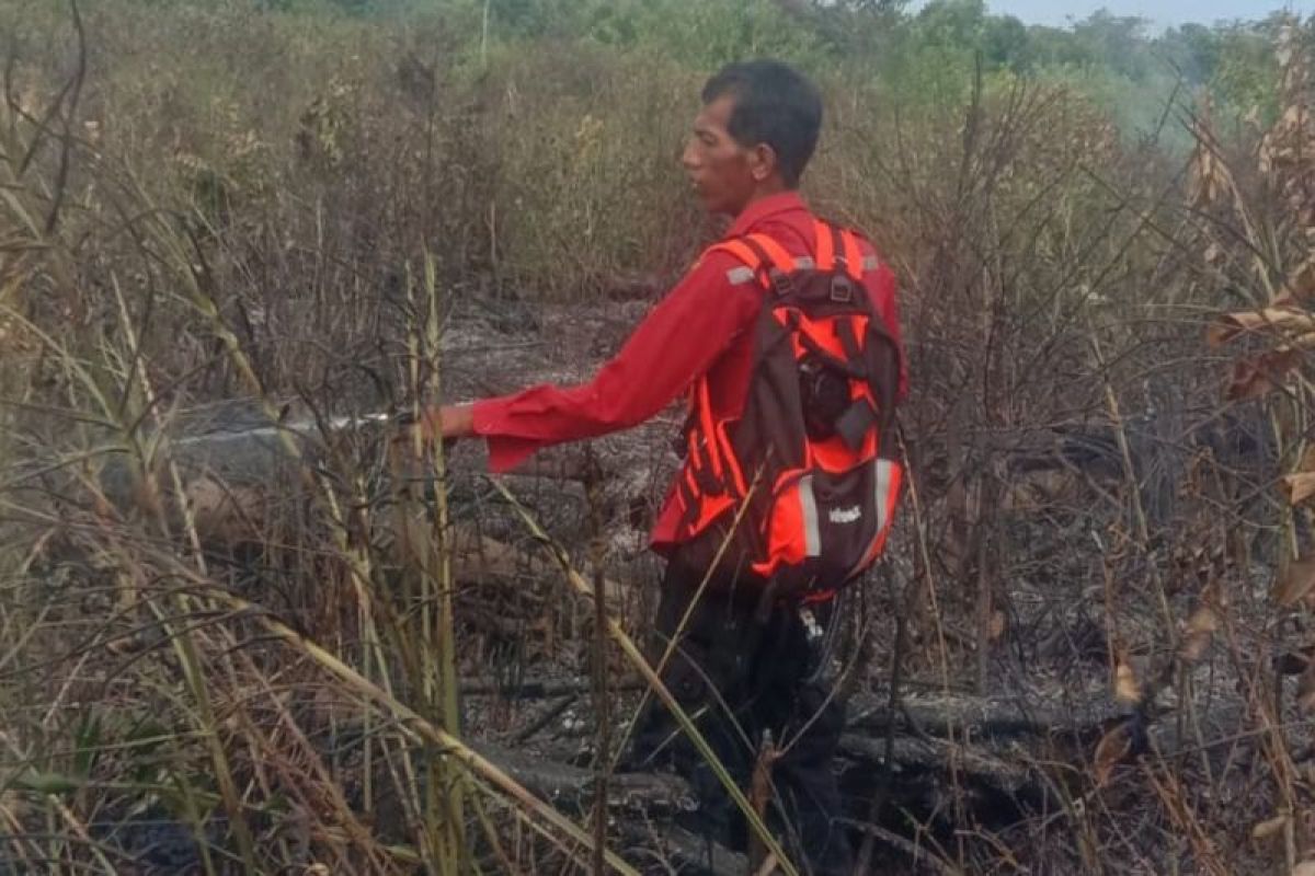 Tim gabungan berhasil padamkan karhutla  di Penajam Paser Utara