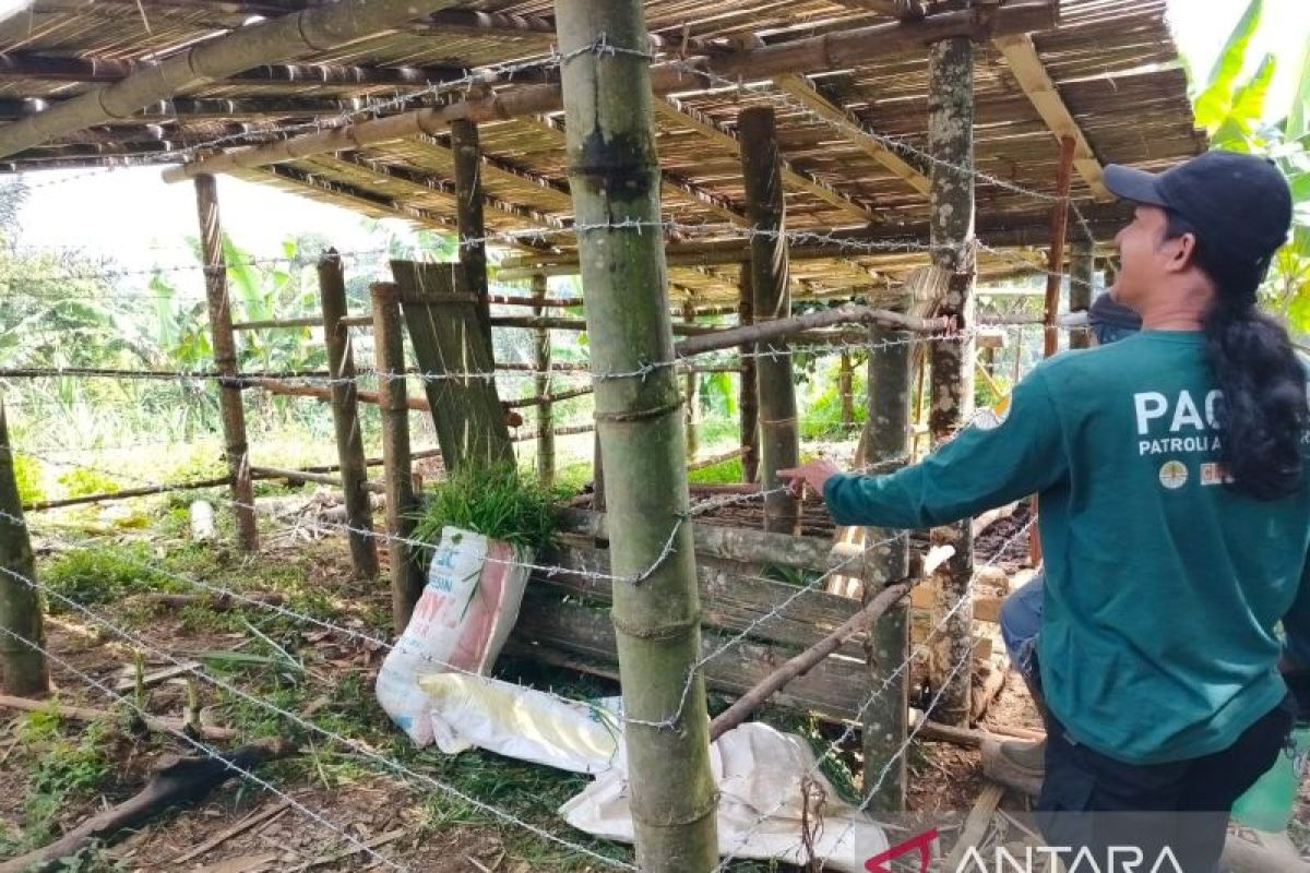 Pagari di Agam buat kandang komunal menimalisir serangan satwa liar