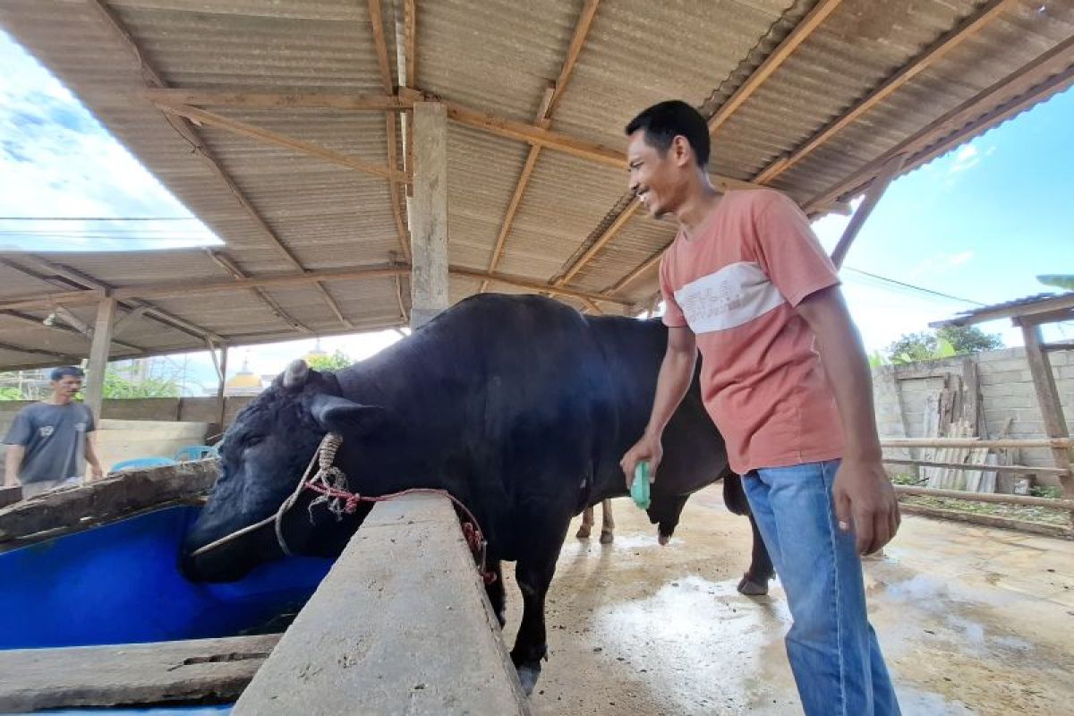 DJPb Lampung sebut KUR Khusus sediakan pembiayaan usaha berbasis klaster