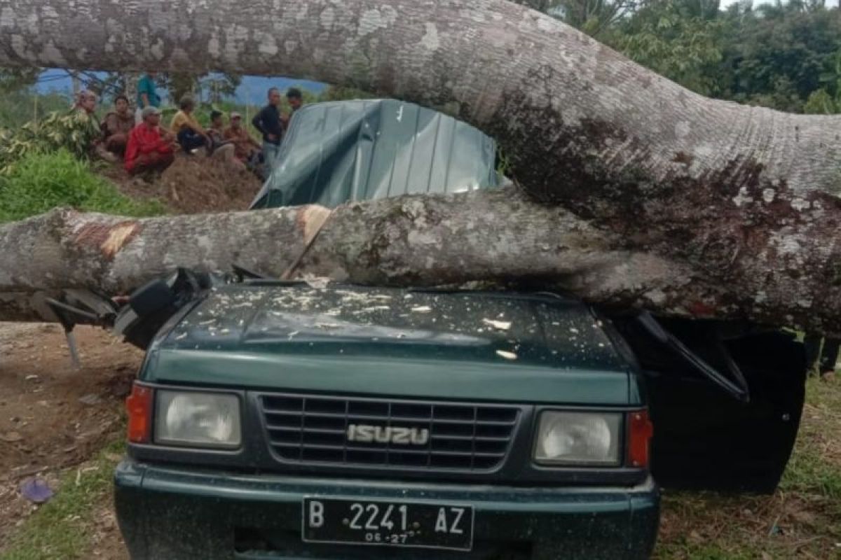 Ini nama-nama korban tertimpa pohon kemiri tumbang di Desa Telagah Sei Bingai