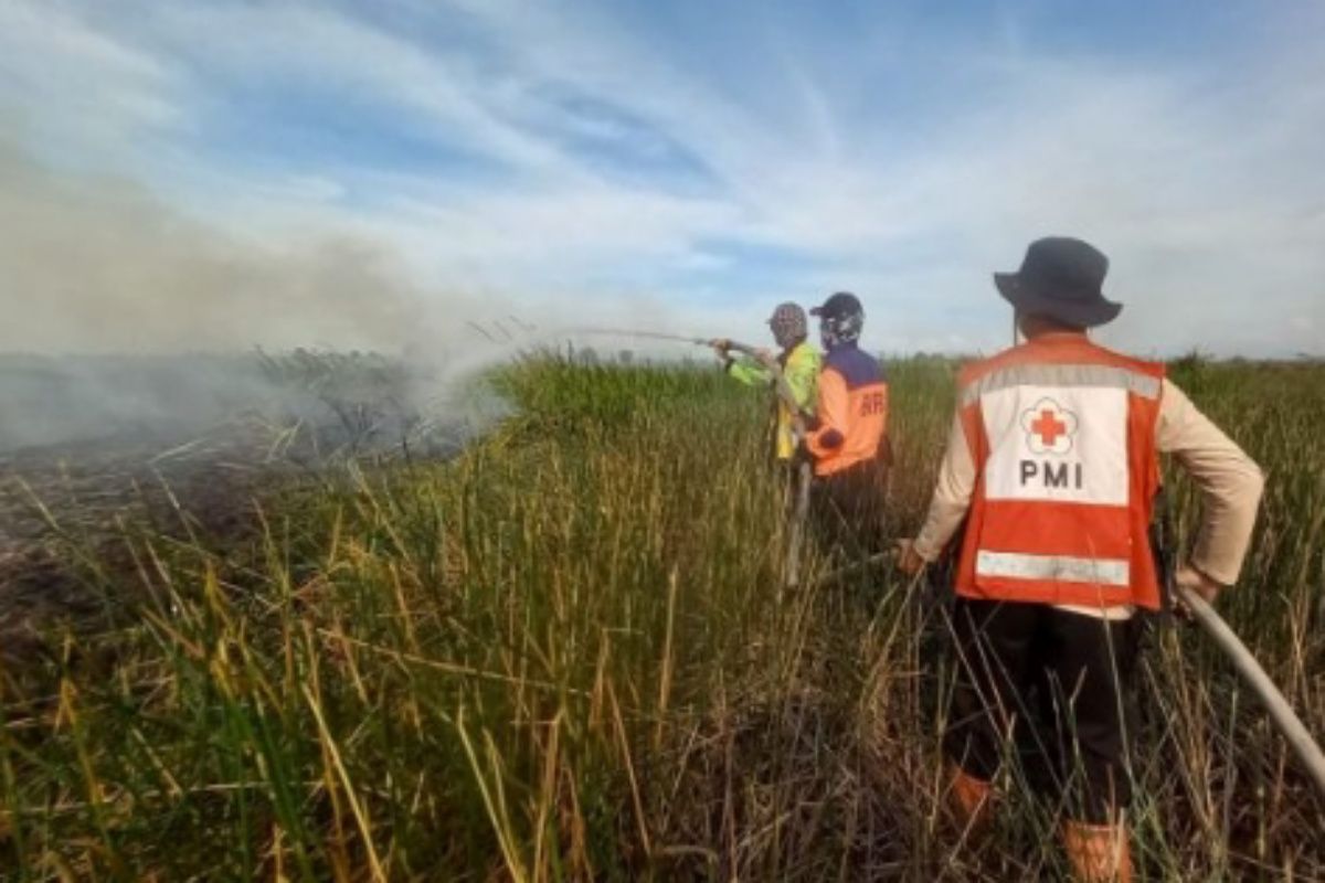 Tim Gabungan BPBD Banjar padamkan Karhutla di ring satu kawasan bandara