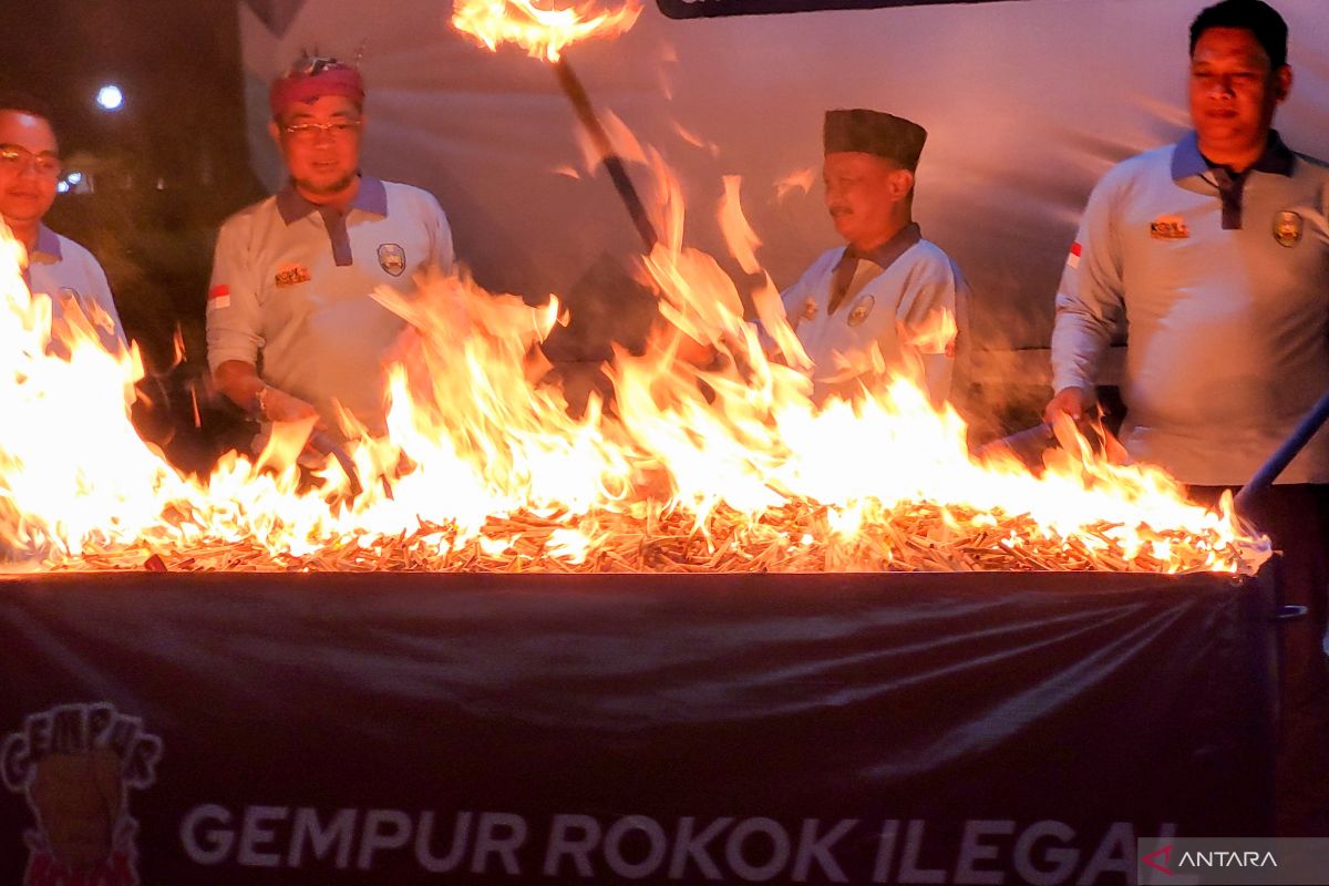 Bea Cukai Jember dan Satpol PP Situbondo musnahkan 66.256 batang rokok ilegal