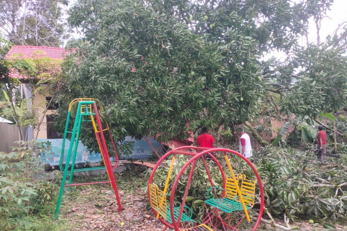 Gedung PAUD di Abdya hancur tertimpa pohon tumbang