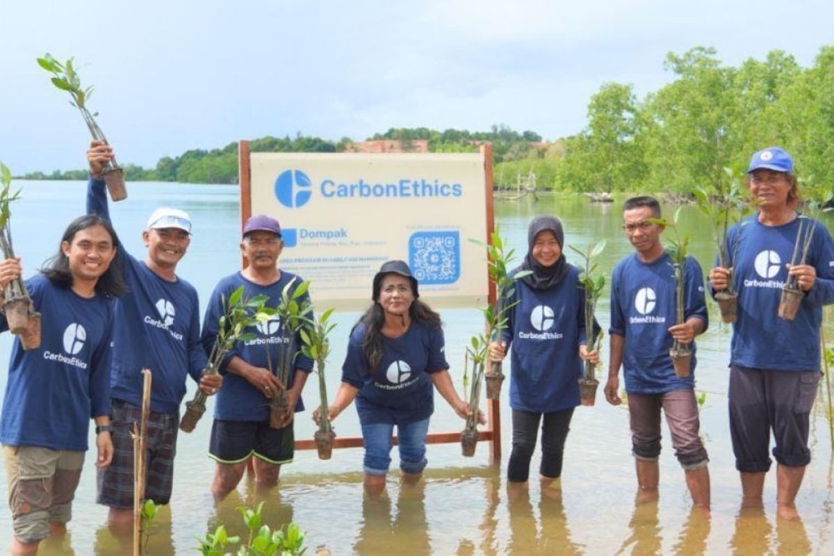 CarbonEthics peroleh 2,1 juta dolar AS akselerasi pengembangan proyek karbon biru berkualitas tinggi