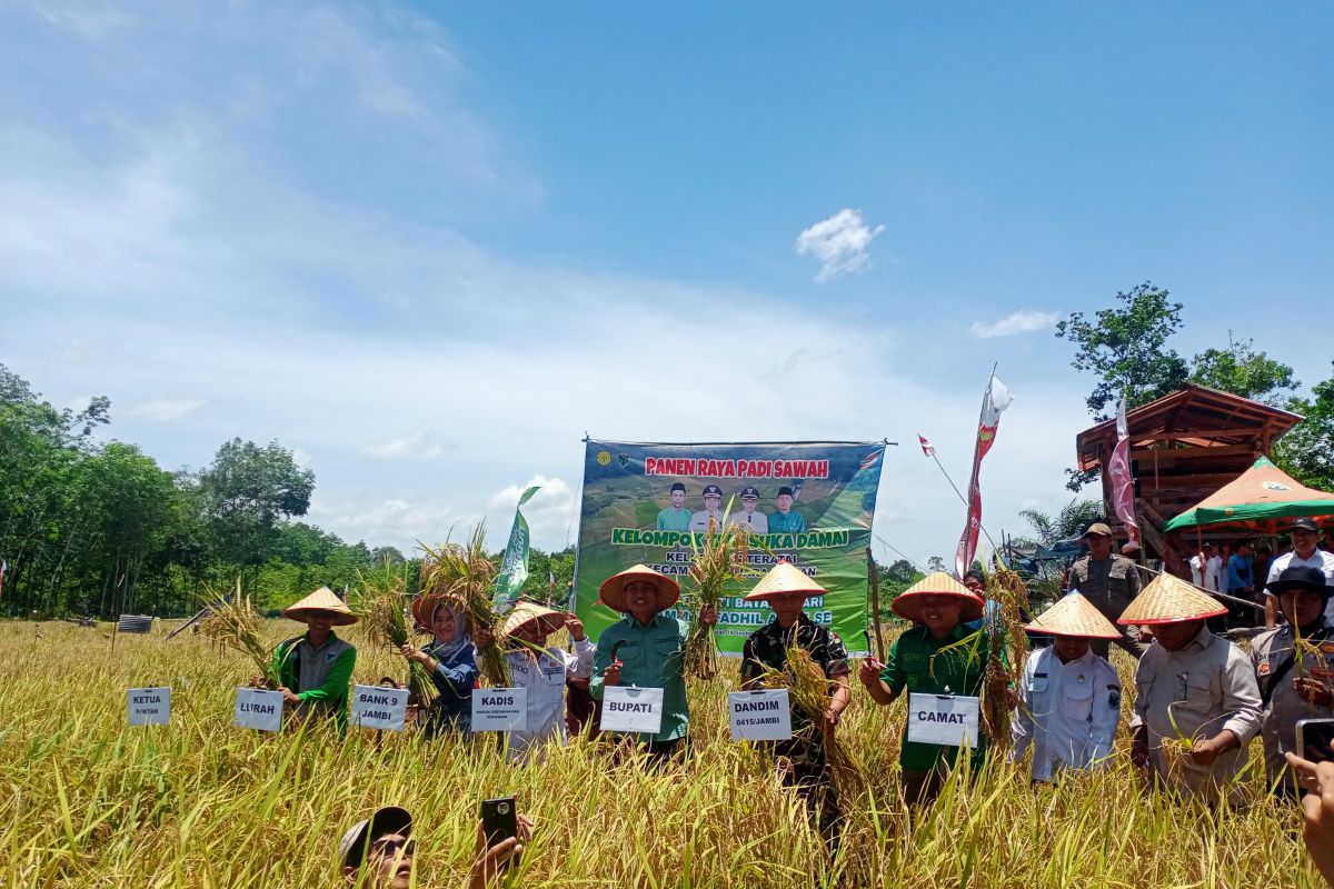 Pemkab Batanghari panen raya di Muara Bulian