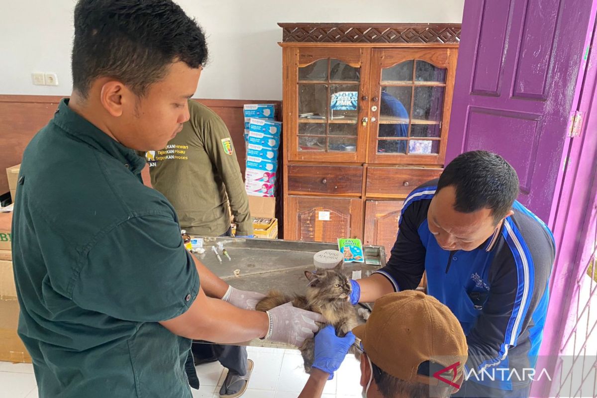 Mukomuko tangani 76 kasus gigitan hewan penular rabies