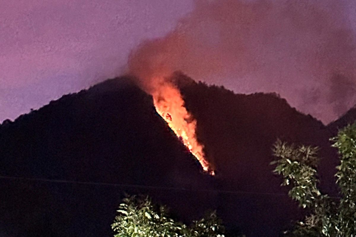 Hutan lereng Gunung Telomoyo Semarang kebakaran