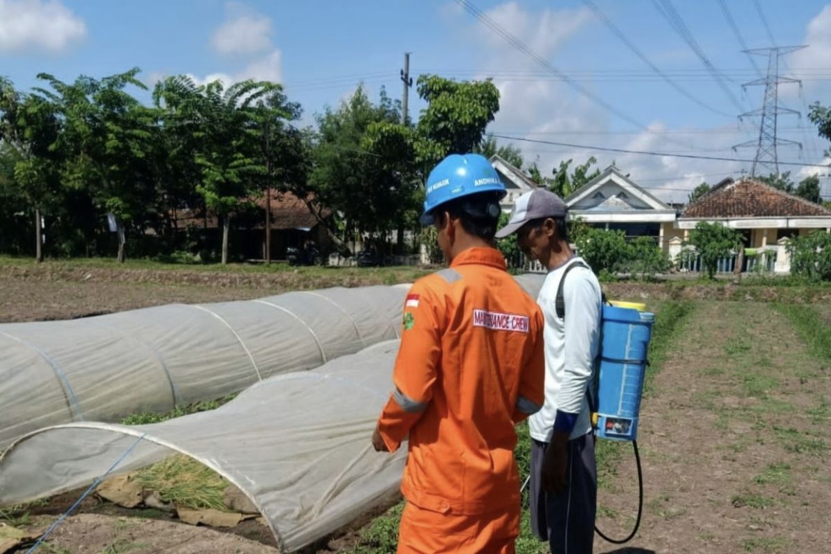 PLN edukasi petani soal jaringan transmisi terkait keselamatan kelistrikan