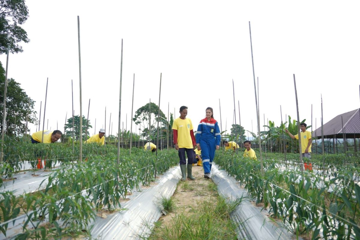 Pertagas inisiasi program Permata Borneo untuk rawat dan pulihkan hutan Kutai Timur