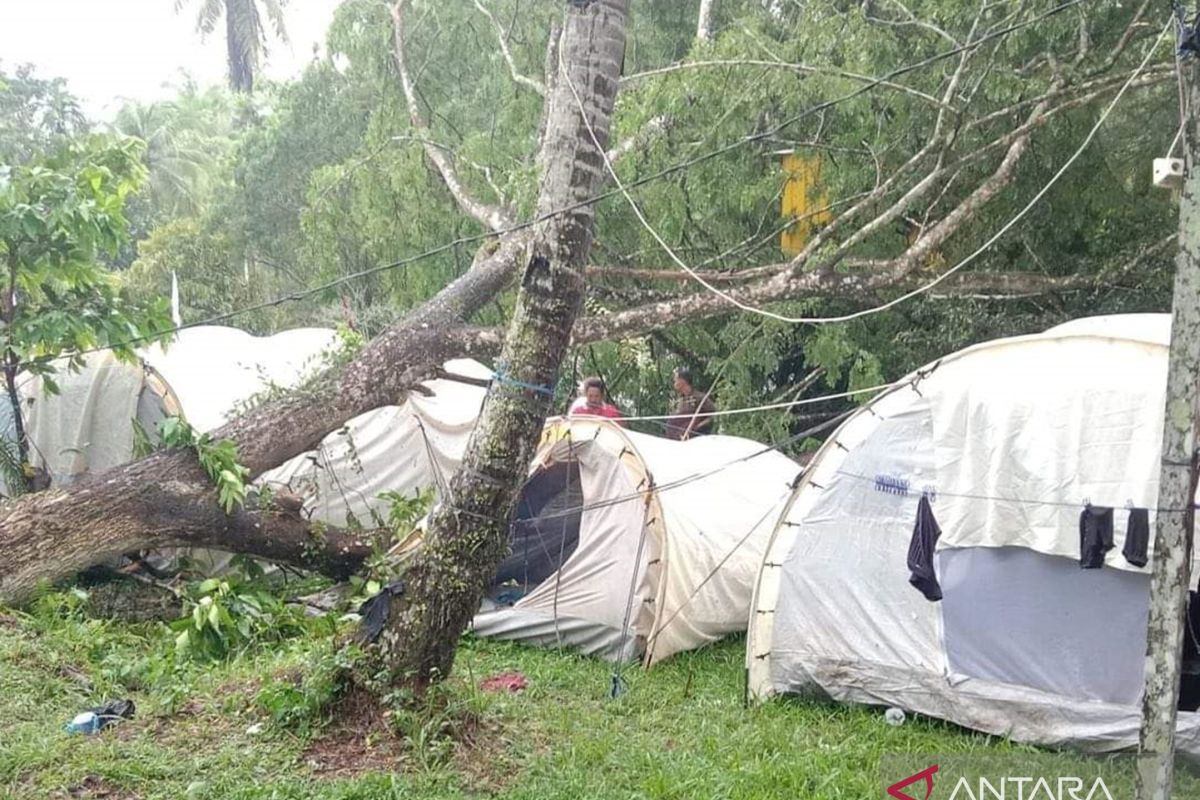 Satu korban meninggal akibat pohon tumbang di perkemahan relawan PMI