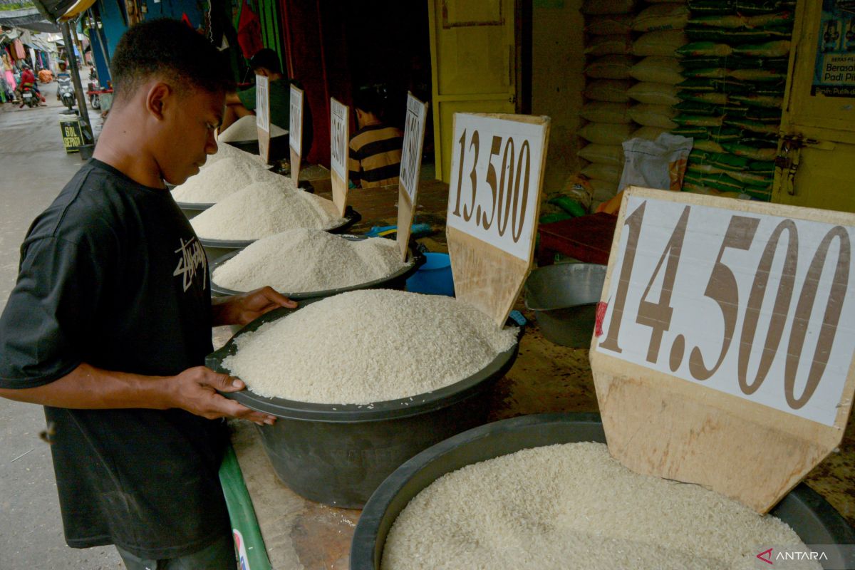 10 daerah penghasil beras terbanyak di Indonesia