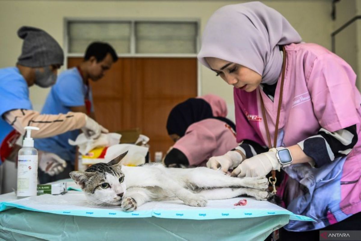 Dinkes  DKI sebut tak semua pasien kasus rabies perlu diberi vaksin