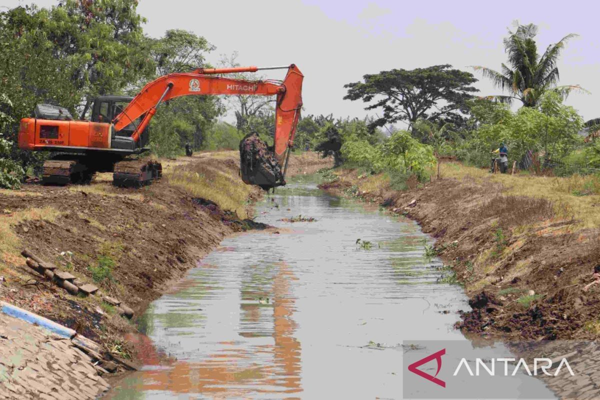 Normalisasi irigasi selamatkan 360 hektare sawah berstatus kritis di Bekasi