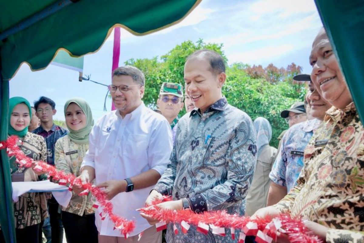 Pemkab Langkat terus perkuat ketahanan pangan daerah