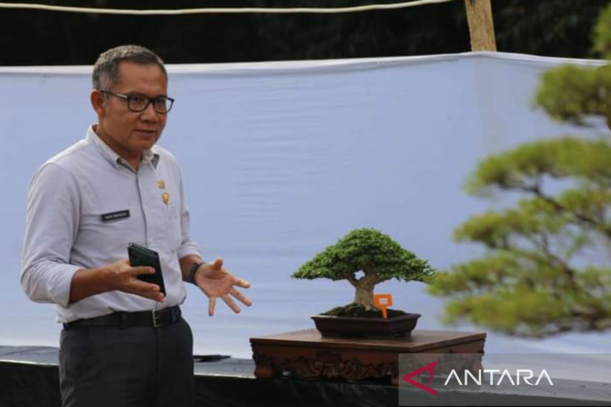 Bangka Barat tingkatkan daya tarik wisata melalui kontes bonsai