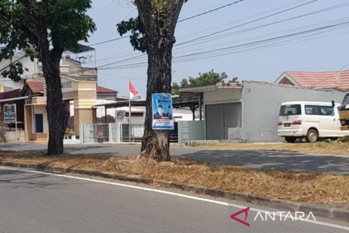 DLH Kota Bengkulu larang paslon pasang APK di pohon