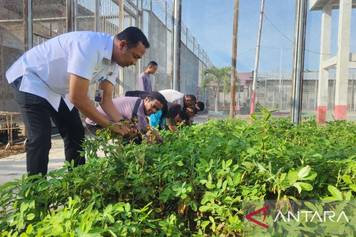 Lapas Pohuwato jalankan program kemandirian pertanian warga binaan