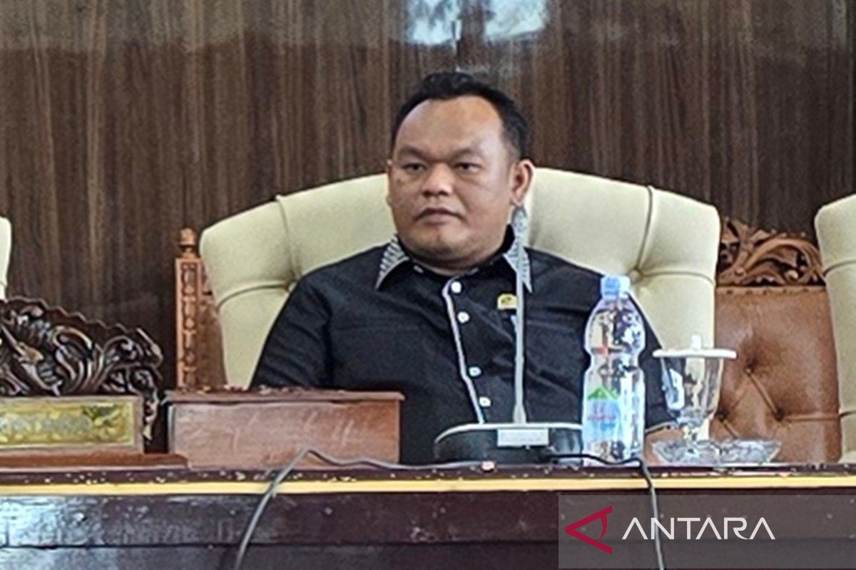 Waket sementara DPRD  apresiasi PLN