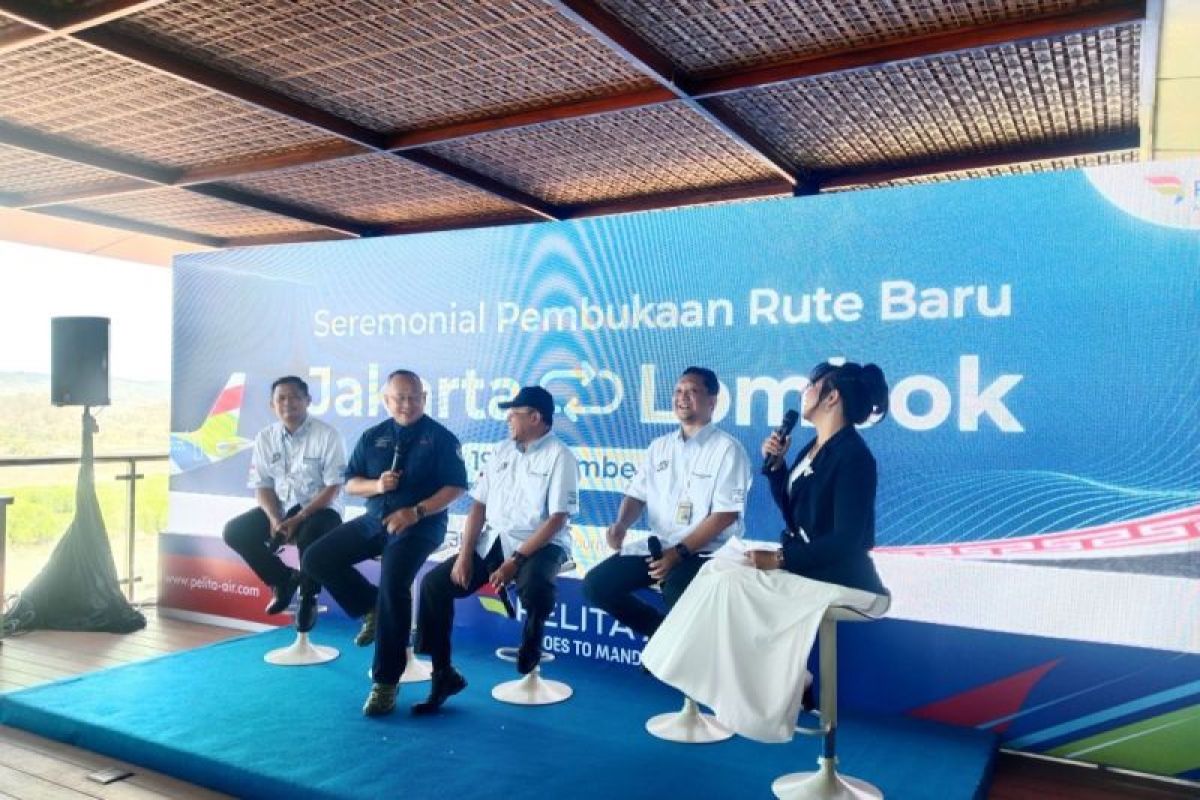 Maskapai Pelita Air buka rute penerbangan baru Jakarta-Lombok