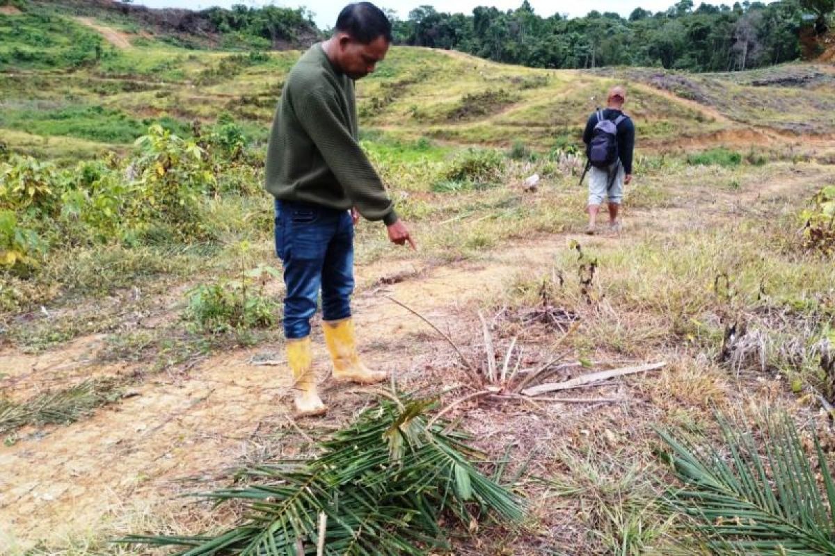 BPBD Aceh Barat kerahkan tim WRU cegah gangguah gajah