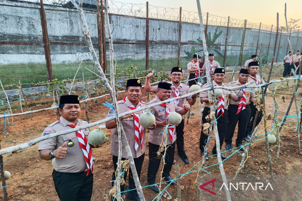 Banjarbaru Penitentiary harvests 2.5 quintals melon cultivated by inmates