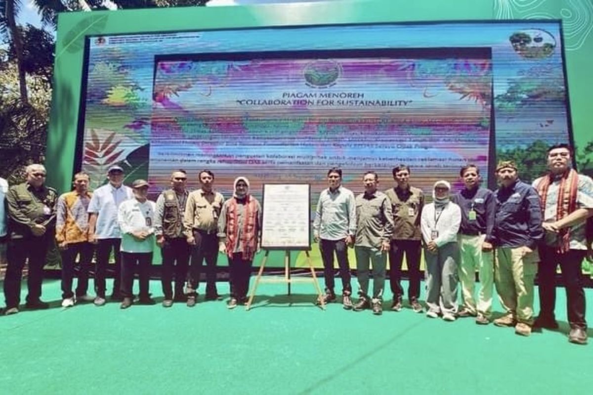 Pemprov Kalsel-KLHK komitmen sukseskan program Rehabilitasi Hutan dan Lahan