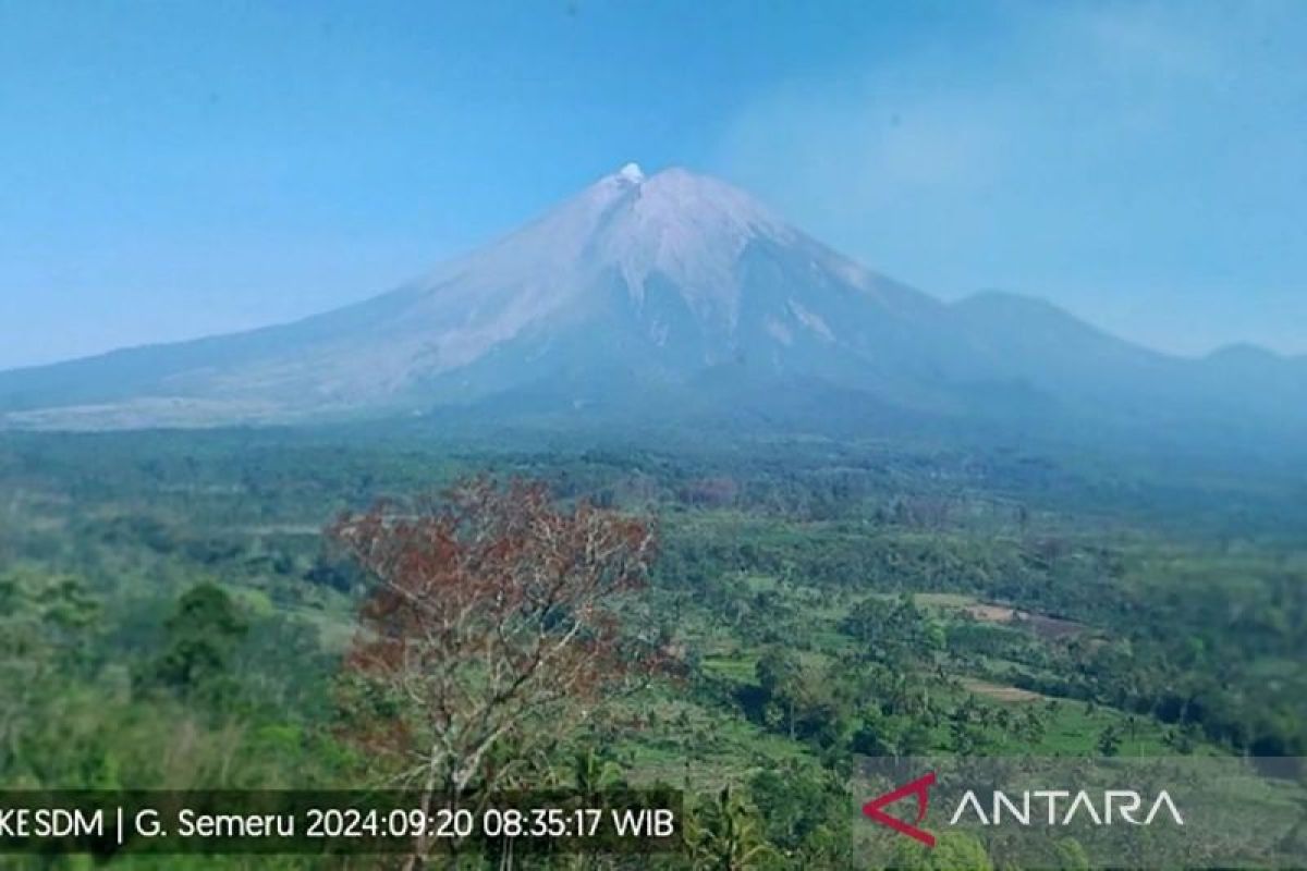 Gunung Semeru erupsi hingga sembilan kali pada Jumat pagi