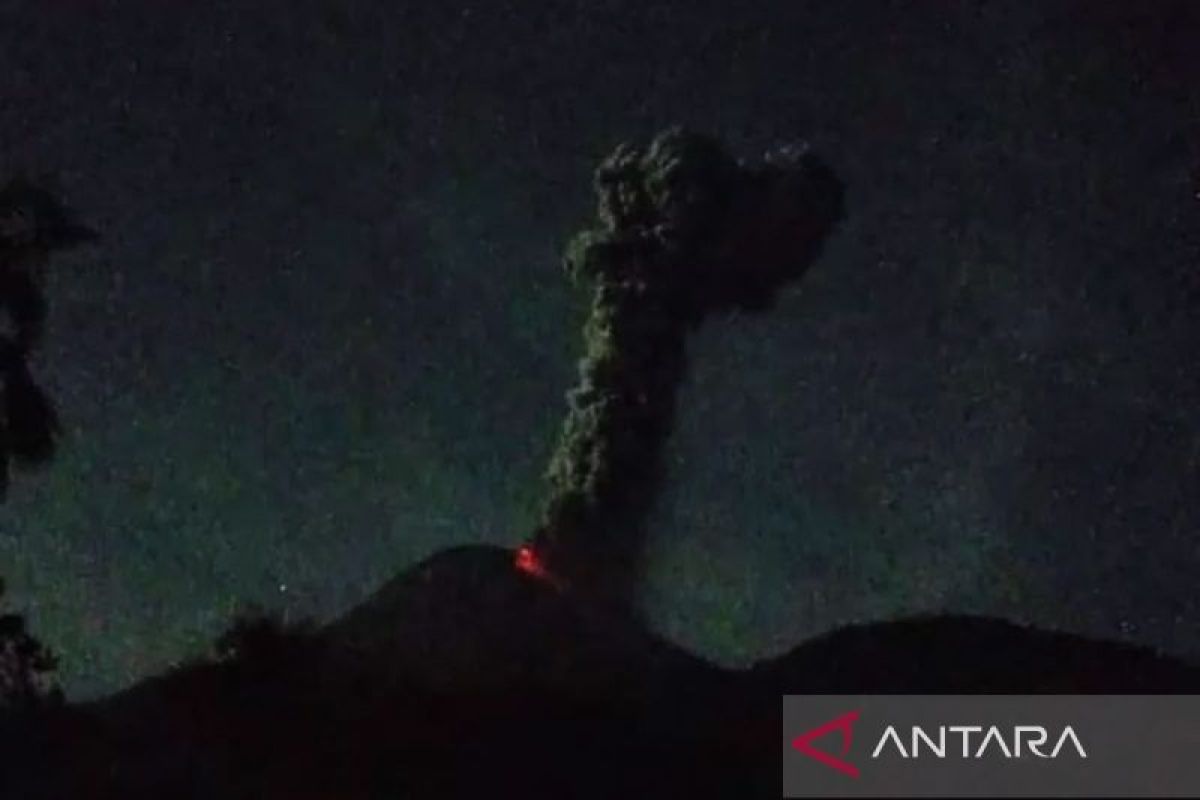 BNPB: Bandara di NTT ditutup sementara imbas erupsi Gunung Lewotobi