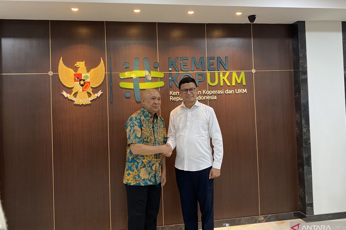 Kemenkop UKM dan BPOM pastikan PP No. 28/2024 tak bebani UMKM