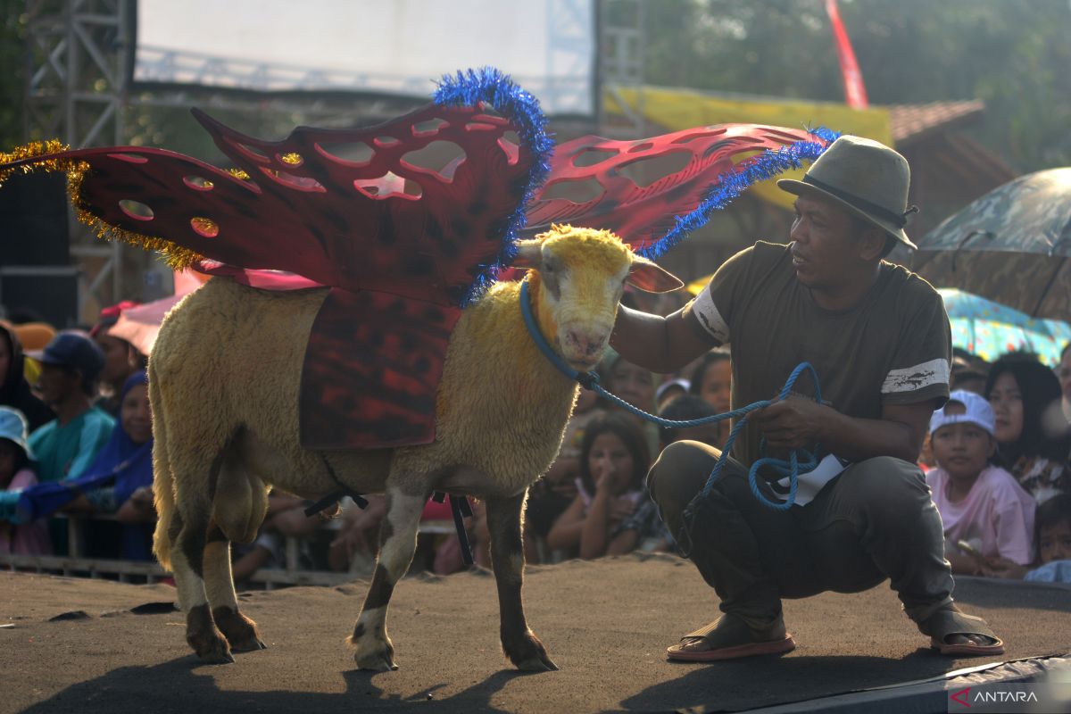 Domba Fashion Carnival di Jember