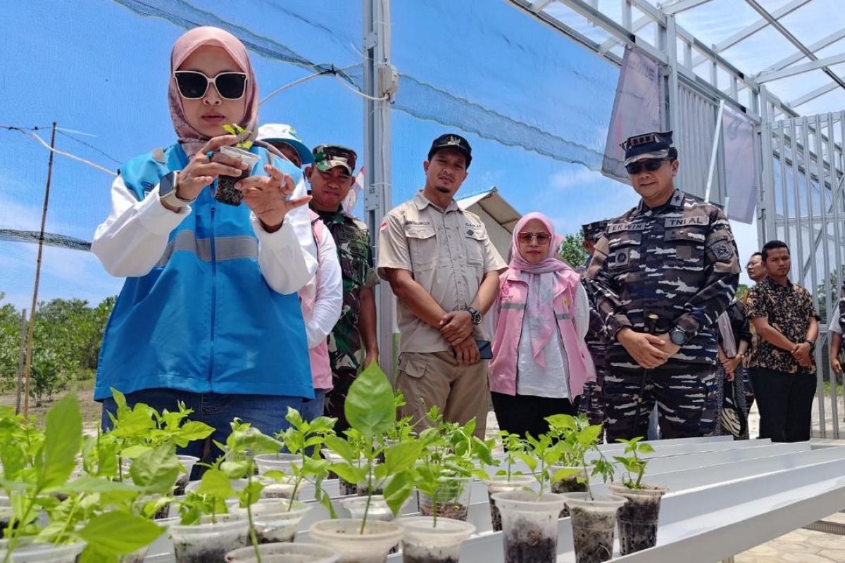 PLN dukung kemandirian ekonomi masyarakat pesisir lewat program TJSL Desa Berdaya