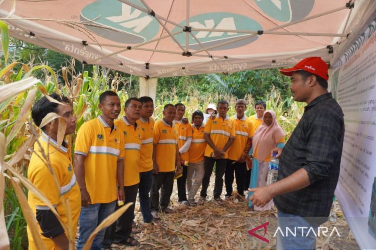 Tingkatkan hasil dan jaga kelestarian lingkungan dengan teknik budidaya berkelanjutan