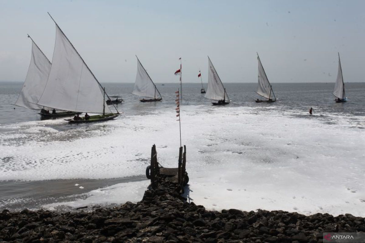 Busa putih di pantai dekat jembatan Suramadu