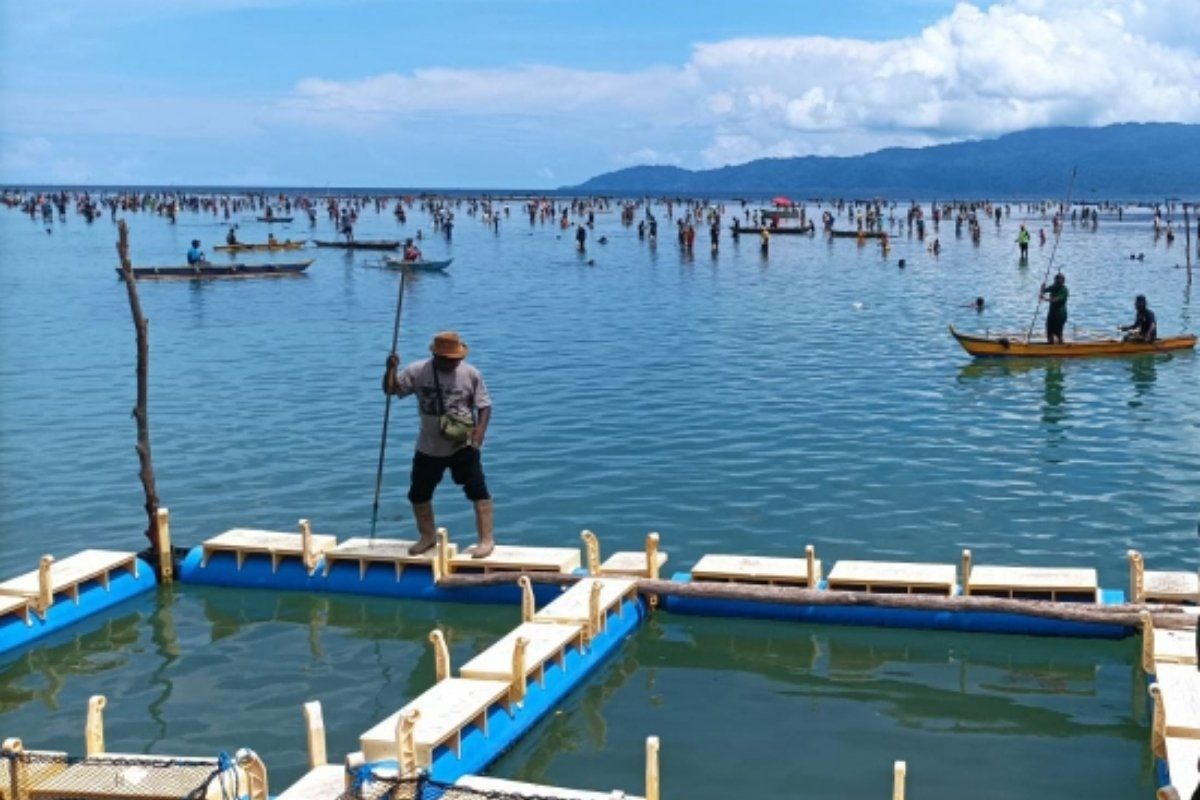 Dinas Perikanan Biak apresiasi pelaku usaha melakukan penggemukan tuna