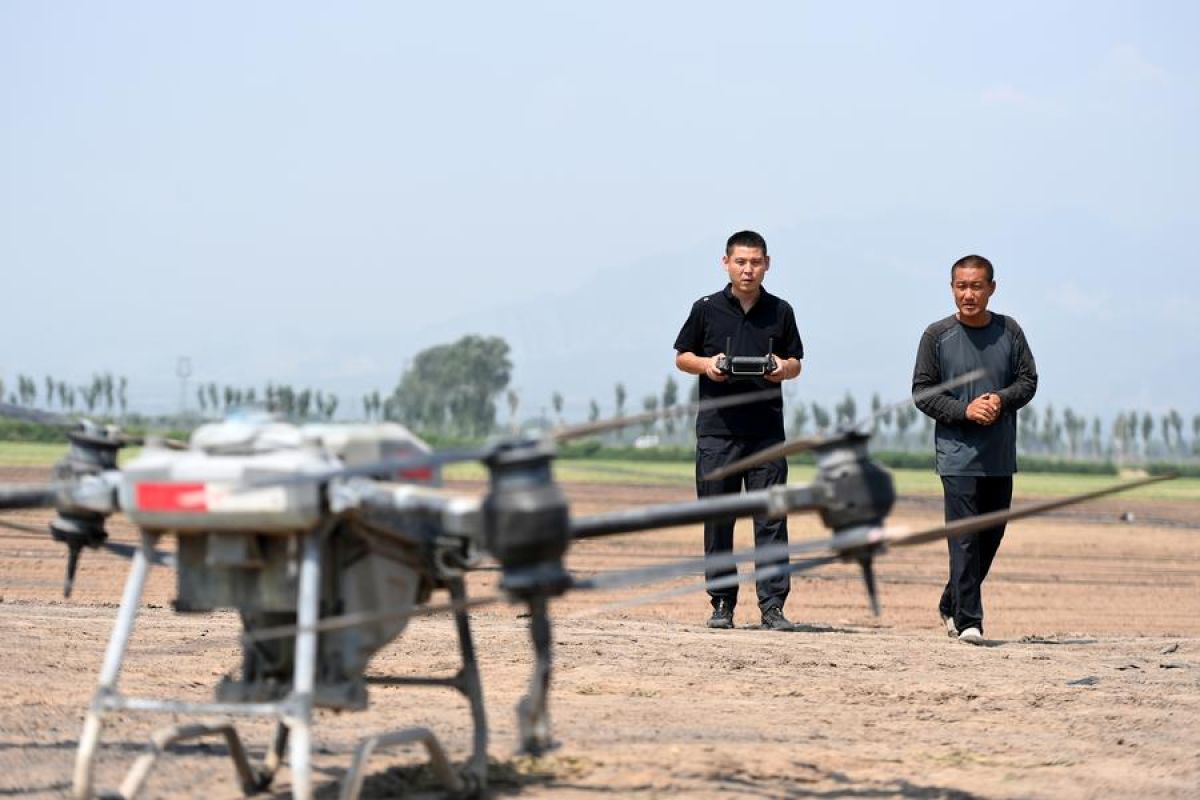 "Petani baru" hadirkan vitalitas ke dalam pertanian modern di China