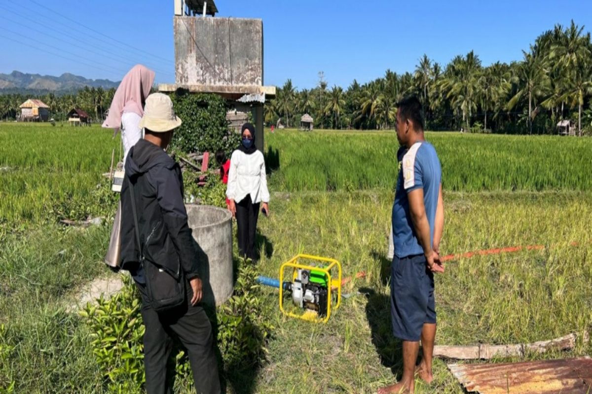 Dinas TPHP Sulbar melakukan penanganan dampak El Nino di Polewali Mandar