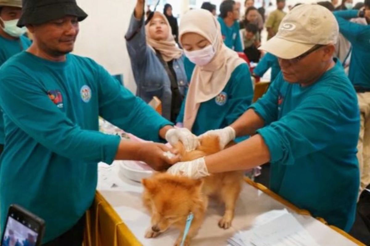 Pemkab Karawang vaksinasi ratusan hewan penular rabies gratis