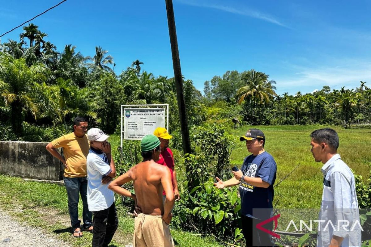 Pj Bupati Abdya hidupkan kembali varietas padi sigupai